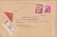 picture of item 31