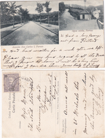 picture of item 49