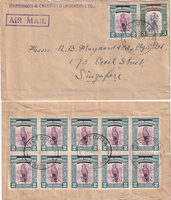 picture of item 8