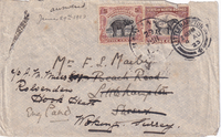 picture of item 18