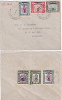 picture of item 19