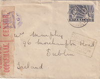 picture of item 49