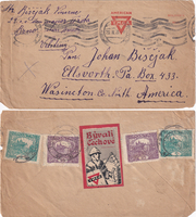 picture of item 19