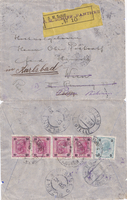 picture of item 10