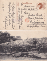 picture of item 61