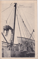picture of item 71
