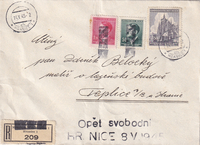 picture of item a0291