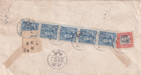 picture of item a1071
