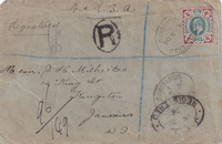 picture of item a1907