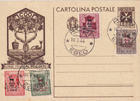 picture of item a2234