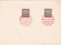 picture of item a2561