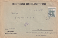 picture of item a2624