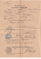 picture of item b1017