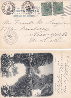 picture of item b1038