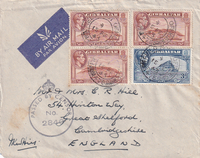 picture of item b1098