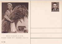 picture of item b1129