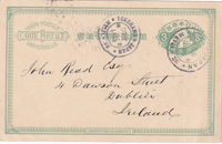 picture of item b1592