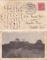 picture of item b1635