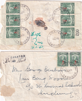 picture of item b1647