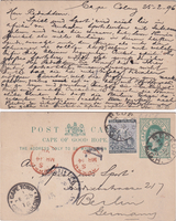 picture of item b1829