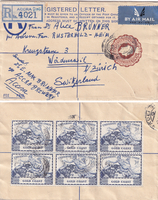 picture of item b1833