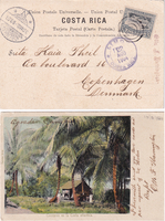 picture of item b1849
