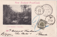 picture of item b1876