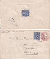 picture of item b1883