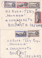 picture of item b1915
