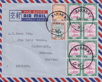 picture of item b1955