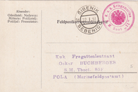 picture of item b1965