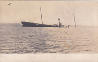 picture of item b2096
