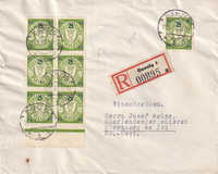 picture of item b2118