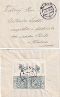 picture of item b2177