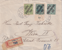 picture of item b2291