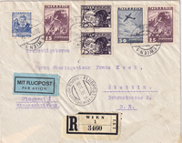 picture of item b2306