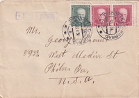 picture of item b2411