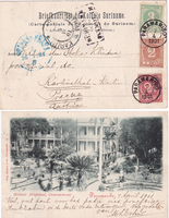 picture of item b2448