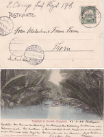 picture of item b2596
