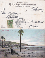 picture of item b2852