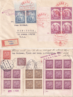 picture of item b2954
