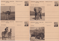 picture of item b2987