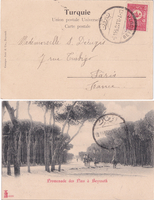 picture of item b3274