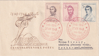 picture of item b3347